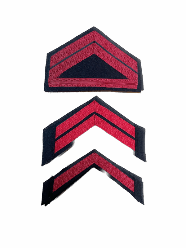 PAR DE DIVISAS COSER EXÉRCITO