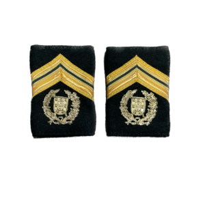 PAR DE DIVISAS TUBULARES SARGENTO MOR GNR