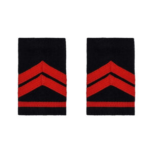 PAR DE DIVISAS TUBULARES/PASSADORES CABO ADJUNTO EXÉRCITO