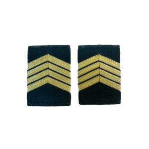 PAR DE DIVISAS TUBULAR 1ºSARGENTO GNR