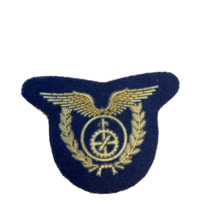 EMBLEMA ABORRACHADO ESPECIALIDADE FORÇA AÉREA