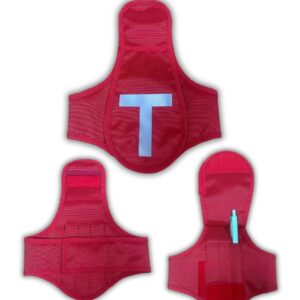 BRAÇAL VERMELHO TRÂNSITO